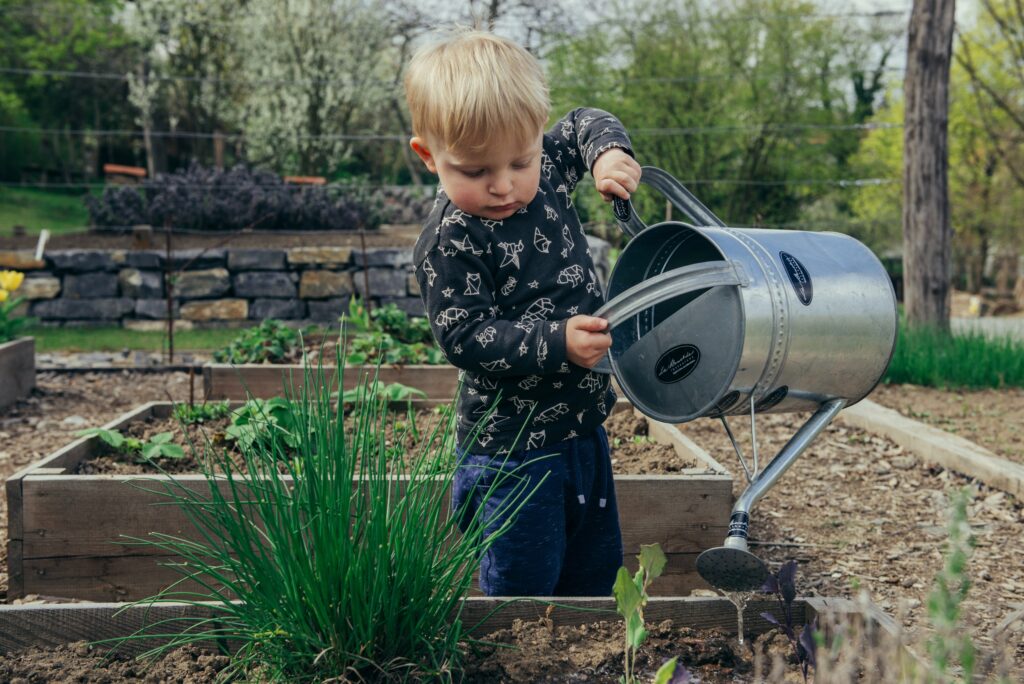 toddler boy watering plants in a garden