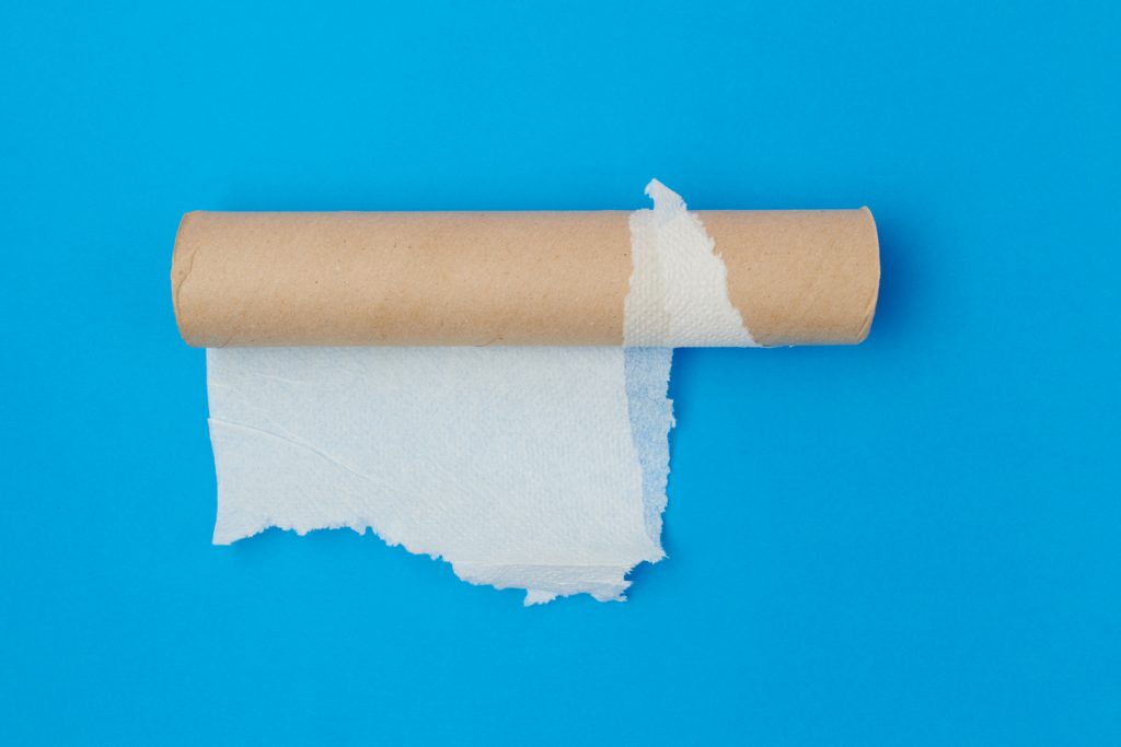 flat lay with paper towel tube on blue background.