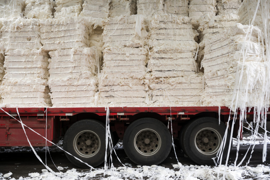 Paper and pulp mill - Detail of cellulose. It mainly obtained from wood pulp and cotton. It is mainly used to produce cardboard and paper.