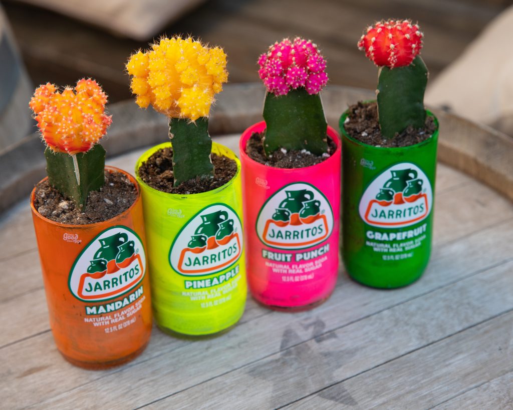 Jarritos bottles used as planters for cacti