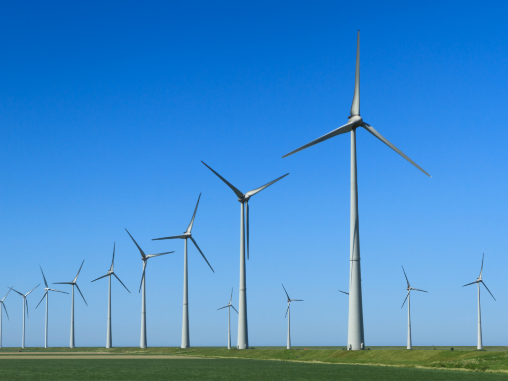 wind turbines in a field