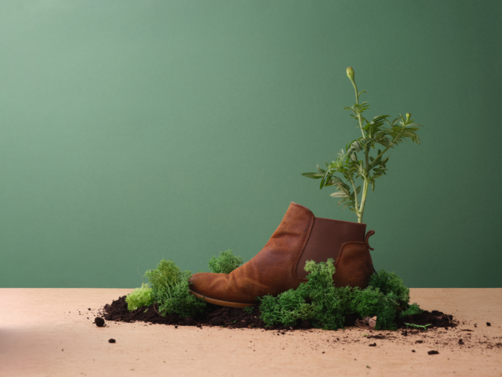 a short boot with dirt and greenery around it and a plat growing out of it