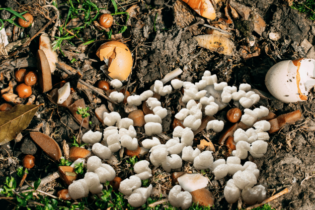 compost with biodegradable packing peanuts added