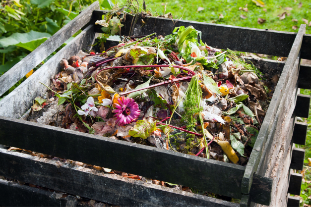 Garden Compost bin filled with green materials