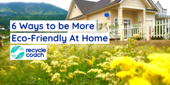 field of flowers in front of a house with a mountain in the background